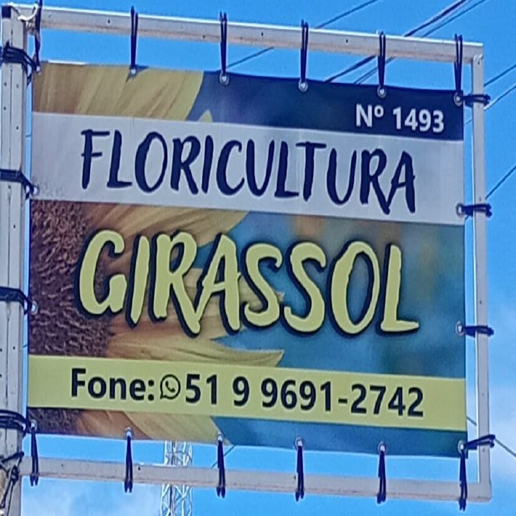 FLORICULTURA GIRASSOL TENENTE CORONEL PEREIRA 1493 TELEFONE 51 9 9691 2742